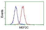 MEF2C Antibody in Flow Cytometry (Flow)