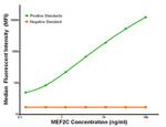MEF2C Antibody in Luminex (Luminex)