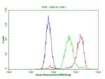 MEIS1 Antibody in Flow Cytometry (Flow)