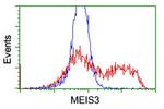MEIS3 Antibody in Flow Cytometry (Flow)