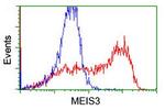 MEIS3 Antibody in Flow Cytometry (Flow)
