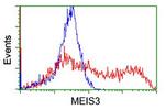 MEIS3 Antibody in Flow Cytometry (Flow)