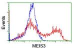 MEIS3 Antibody in Flow Cytometry (Flow)