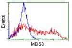 MEIS3 Antibody in Flow Cytometry (Flow)