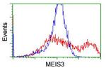 MEIS3 Antibody in Flow Cytometry (Flow)