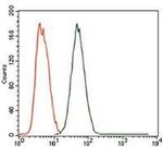 MELK Antibody in Flow Cytometry (Flow)