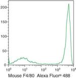F4/80 Monoclonal Antibody (BM8), Alexa Fluor™ 488