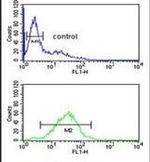 SLC25A28 Antibody in Flow Cytometry (Flow)