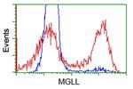 MGLL Antibody in Flow Cytometry (Flow)