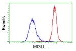 MGLL Antibody in Flow Cytometry (Flow)