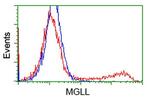 MGLL Antibody in Flow Cytometry (Flow)