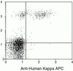 Mouse anti-Human Kappa Light Chain Secondary Antibody, APC