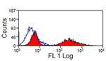 MHC II Monomorphic Antibody in Flow Cytometry (Flow)