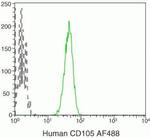 CD105 Monoclonal Antibody (SN6), Alexa Fluor™ 488