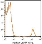 CD19 Monoclonal Antibody (SJ25-C1), PE