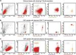 CD45 Antibody in Flow Cytometry (Flow)