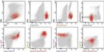 CD45 Antibody in Flow Cytometry (Flow)