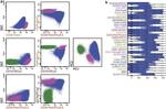 CD45 Antibody in Flow Cytometry (Flow)