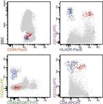 CD45 Antibody in Flow Cytometry (Flow)