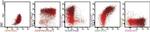 CD45 Antibody in Flow Cytometry (Flow)