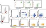 CD45 Antibody in Flow Cytometry (Flow)