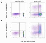 IFN gamma Antibody in Flow Cytometry (Flow)