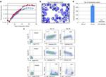 Fetal Hemoglobin Antibody in Flow Cytometry (Flow)