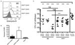 Granzyme B Antibody in Flow Cytometry (Flow)