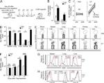 Granzyme B Antibody in Flow Cytometry (Flow)