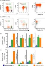 Granzyme B Antibody in Flow Cytometry (Flow)
