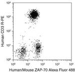 Zap-70 Monoclonal Antibody (1E7.2), Alexa Fluor™ 488