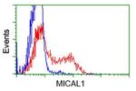 MICAL1 Antibody in Flow Cytometry (Flow)