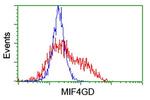 MIF4GD Antibody in Flow Cytometry (Flow)