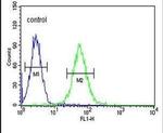 MINPP1 Antibody in Flow Cytometry (Flow)