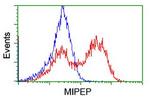 MIPEP Antibody in Flow Cytometry (Flow)