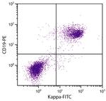 Rat anti-Mouse Kappa Light Chain Secondary Antibody, FITC