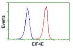 MKRN1 Antibody in Flow Cytometry (Flow)