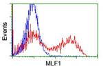 MLF1 Antibody in Flow Cytometry (Flow)
