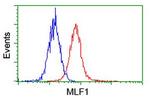 MLF1 Antibody in Flow Cytometry (Flow)