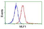 MLF1 Antibody in Flow Cytometry (Flow)