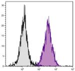H-2Dk Monoclonal Antibody (15-5-5), PE