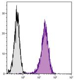 H-2Kk Monoclonal Antibody (36-7-5), FITC