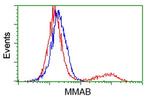 MMAB Antibody in Flow Cytometry (Flow)