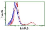 MMAB Antibody in Flow Cytometry (Flow)