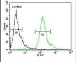 MMGT1 Antibody in Flow Cytometry (Flow)