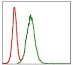 MMP3 Antibody in Flow Cytometry (Flow)