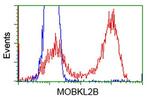 MOBKL2B Antibody in Flow Cytometry (Flow)