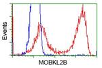 MOBKL2B Antibody in Flow Cytometry (Flow)