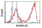 MOBKL2B Antibody in Flow Cytometry (Flow)