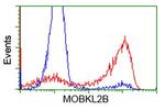 MOBKL2B Antibody in Flow Cytometry (Flow)